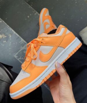 WhatsApp Image 2022-11-21 at 4.04.36 PM